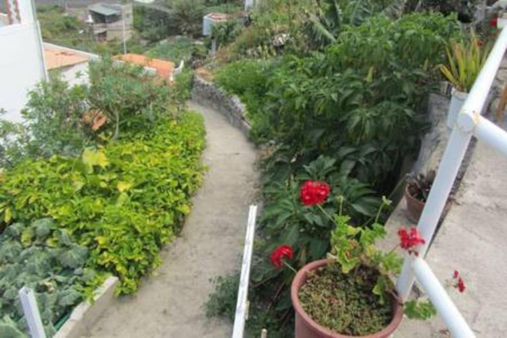סנטה קרוז דה טנריף House Rural,Biosphere Reserve World.Taganana.Tfe. מראה חיצוני תמונה